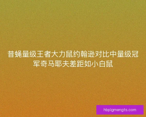 昔蝇量级王者大力鼠约翰逊对比中量级冠军奇马耶夫差距如小白鼠