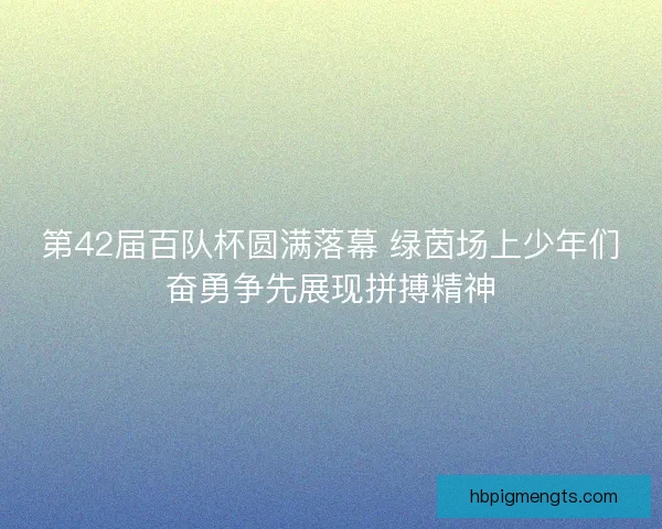 第42届百队杯圆满落幕 绿茵场上少年们奋勇争先展现拼搏精神