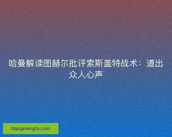哈曼解读图赫尔批评索斯盖特战术：道出众人心声